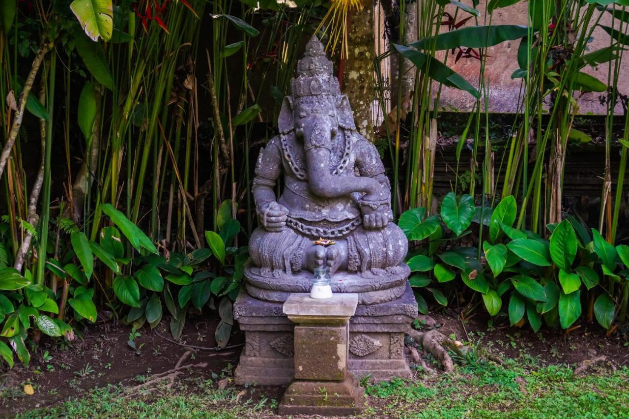 The Allure Ubud Villas 外观 照片